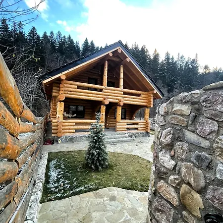 Butura Negulesti