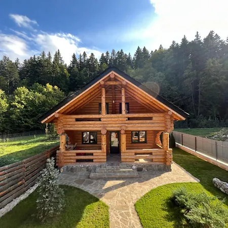 Butura Holiday home Negulesti